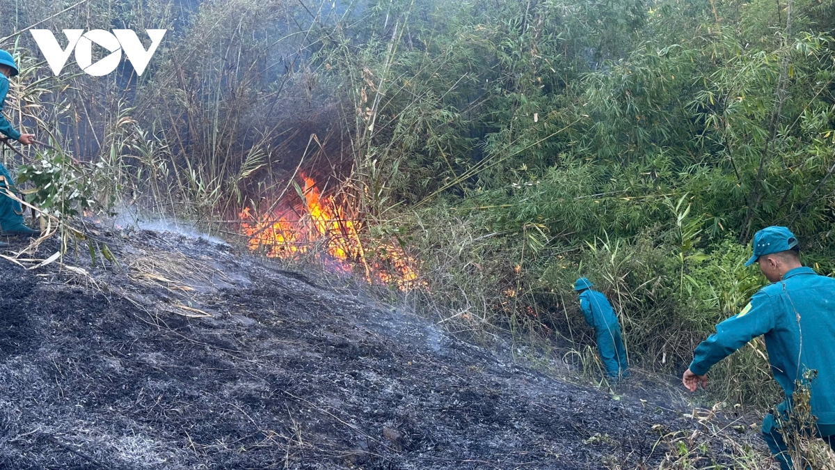 Lâm Đồng: Hơn 100 người tham gia chữa cháy rừng trên đèo Bảo Lộc